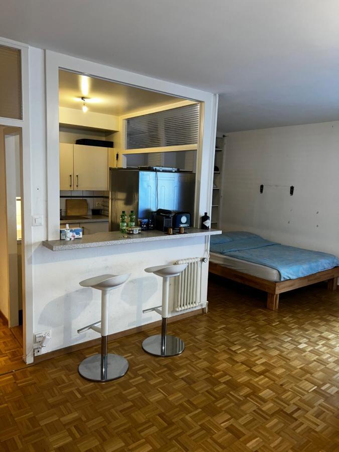 Beautiful Large Studio In Center Of Geneva Free Wifi Exterior photo